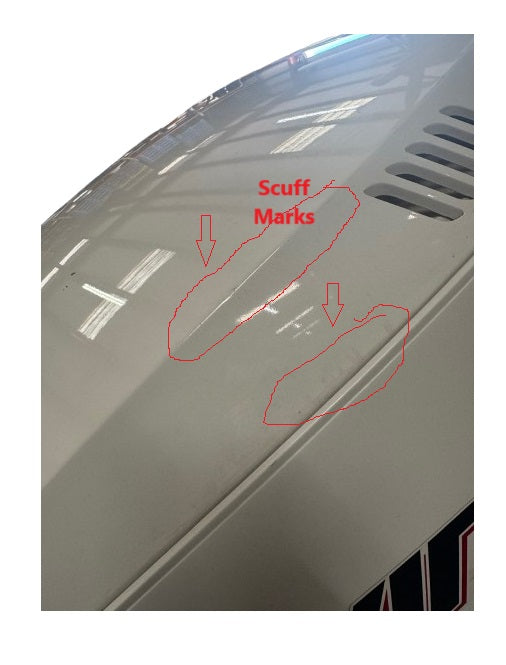 Eveinrude225HPCowlingWhite 5