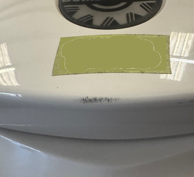 Eveinrude225HPCowlingWhite 6