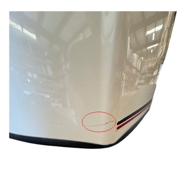 Eveinrude250HPCowlingWhite 6