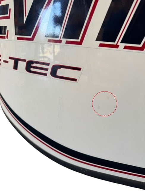 Eveinrude250HPCowlingWhite 6