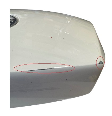 Eveinrude250HPCowlingWhite 7