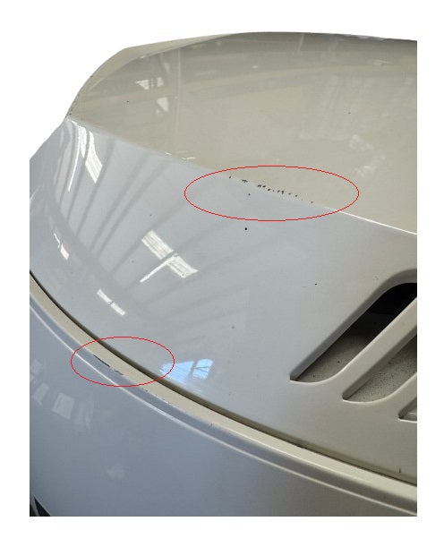 Eveinrude250HPCowlingWhite 8