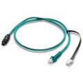 Mastervolt 1m CZone Drop Cable 77060100