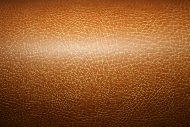 Scout Boats 215 XSF/ 320 & 350 LXF Removable Forward Backrest Seat Back (1 Pair) UH1858