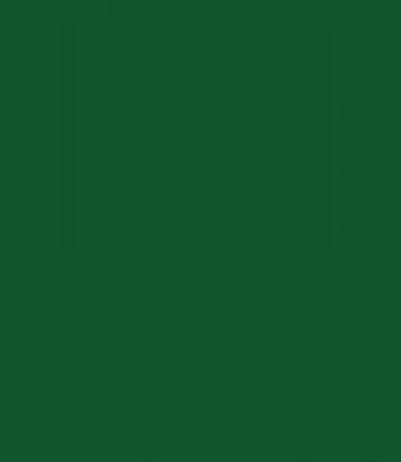 Scout Boats Large Green Logo Sticker Decal (1 Pair)